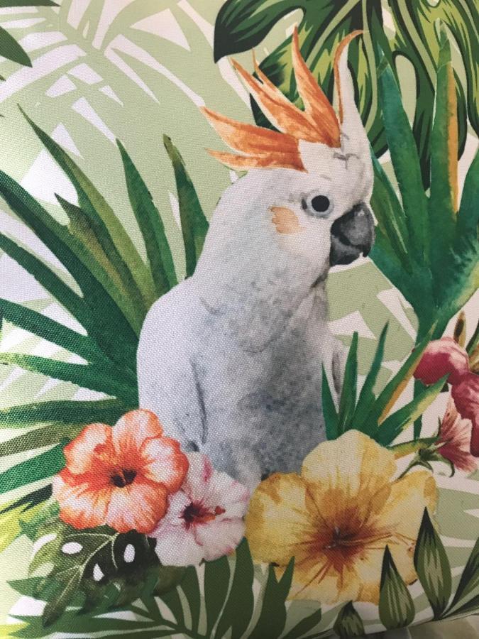 Ed&Pat'S Beach Flat エル・メダノ エクステリア 写真